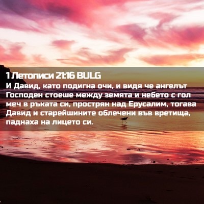 Picture 02 - 1 Летописи 21:16 BULG - И Давид, като подигна очи, и - Bible Verse Picture