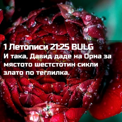 Picture 02 - 1 Летописи 21:25 BULG - И така, Давид даде на Орна - Bible Verse Picture