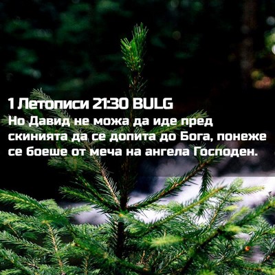 Picture 02 - 1 Летописи 21:30 BULG - Но Давид не можа да иде - Bible Verse Picture
