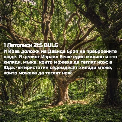 Picture 02 - 1 Летописи 21:5 BULG - И Иоав доложи на Давида - Bible Verse Picture