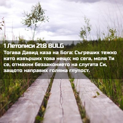 Picture 02 - 1 Летописи 21:8 BULG - Тогава Давид каза на Бога: - Bible Verse Picture