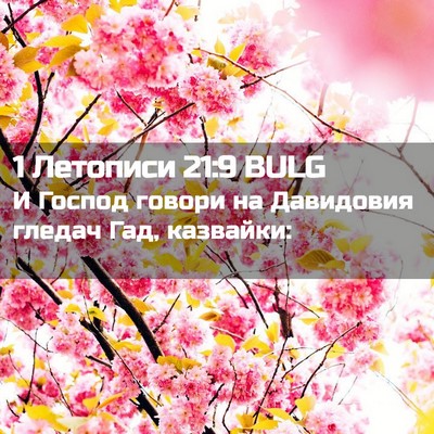 Picture 02 - 1 Летописи 21:9 BULG - И Господ говори на - Bible Verse Picture