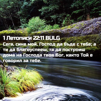 Picture 02 - 1 Летописи 22:11 BULG - Сега, сине мой, Господ да - Bible Verse Picture
