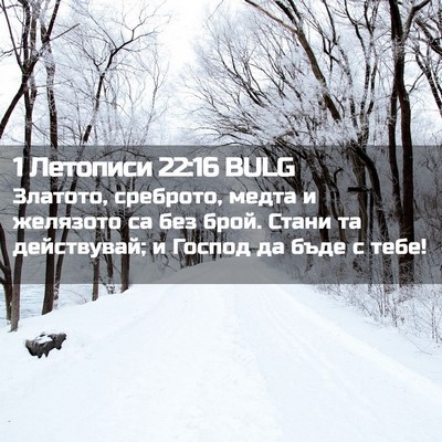 Picture 02 - 1 Летописи 22:16 BULG - Златото, среброто, медта и - Bible Verse Picture