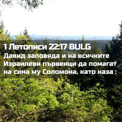 Picture 02 - 1 Летописи 22:17 BULG - Давид заповяда и на - Bible Verse Picture