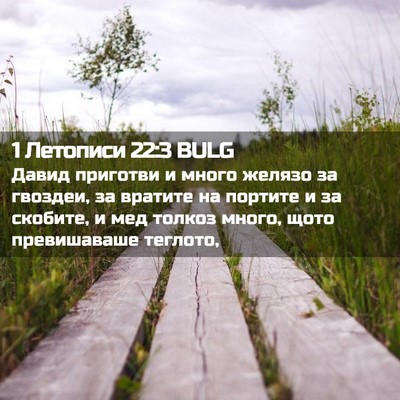 Picture 02 - 1 Летописи 22:3 BULG - Давид приготви и много - Bible Verse Picture