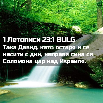 Picture 02 - 1 Летописи 23:1 BULG - Така Давид, като остаря и - Bible Verse Picture