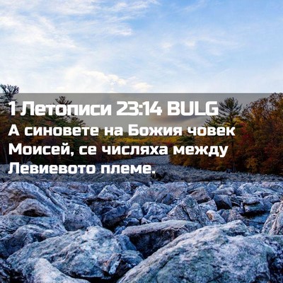 Picture 02 - 1 Летописи 23:14 BULG - А синовете на Божия човек - Bible Verse Picture