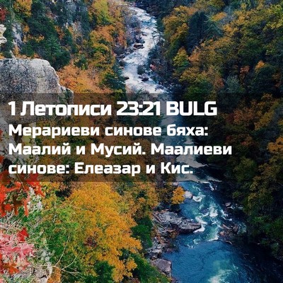 Picture 02 - 1 Летописи 23:21 BULG - Мерариеви синове бяха: - Bible Verse Picture