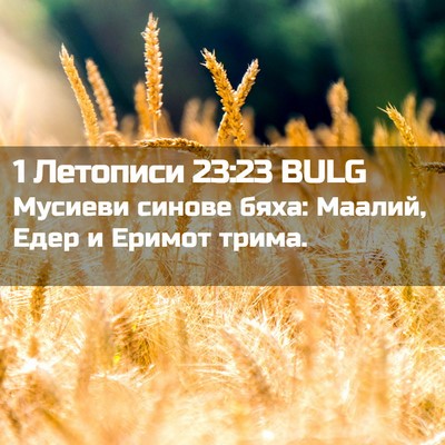 Picture 02 - 1 Летописи 23:23 BULG - Мусиеви синове бяха: - Bible Verse Picture