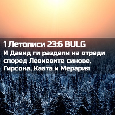 Picture 02 - 1 Летописи 23:6 BULG - И Давид ги раздели на - Bible Verse Picture