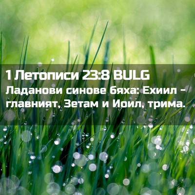 Picture 02 - 1 Летописи 23:8 BULG - Ладанови синове бяха: - Bible Verse Picture