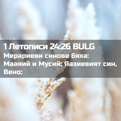 Picture 02 - 1 Летописи 24:26 BULG - Мерариеви синове бяха: - Bible Verse Picture