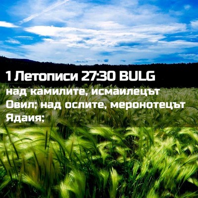 Picture 02 - 1 Летописи 27:30 BULG - над камилите, исмаилецът - Bible Verse Picture