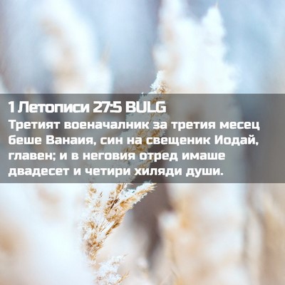 Picture 02 - 1 Летописи 27:5 BULG - Третият военачалник за - Bible Verse Picture