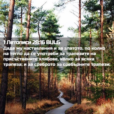 Picture 02 - 1 Летописи 28:16 BULG - Даде му наставления и за - Bible Verse Picture