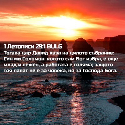 Picture 02 - 1 Летописи 29:1 BULG - Тогава цар Давид каза на - Bible Verse Picture