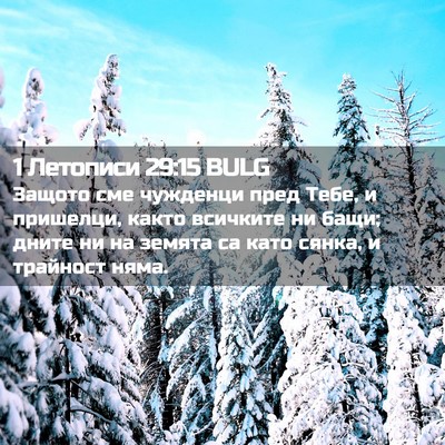 Picture 02 - 1 Летописи 29:15 BULG - Защото сме чужденци пред - Bible Verse Picture