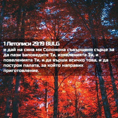 Picture 02 - 1 Летописи 29:19 BULG - и дай на сина ми Соломона - Bible Verse Picture