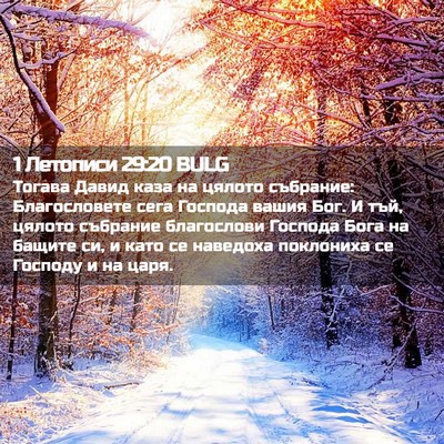 Picture 02 - 1 Летописи 29:20 BULG - Тогава Давид каза на - Bible Verse Picture