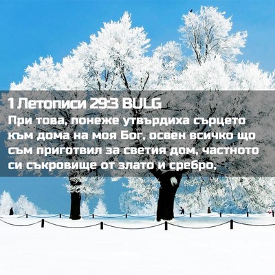 Picture 02 - 1 Летописи 29:3 BULG - При това, понеже утвърдиха - Bible Verse Picture
