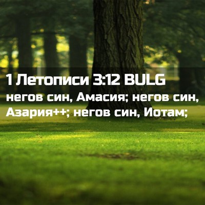 Picture 02 - 1 Летописи 3:12 BULG - негов син, Амасия; негов - Bible Verse Picture