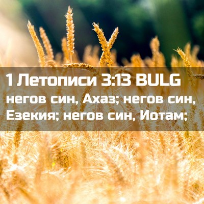 Picture 02 - 1 Летописи 3:13 BULG - негов син, Ахаз; негов син, - Bible Verse Picture