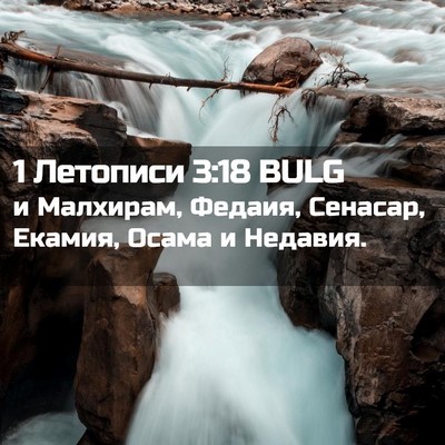 Picture 02 - 1 Летописи 3:18 BULG - и Малхирам, Федаия, - Bible Verse Picture