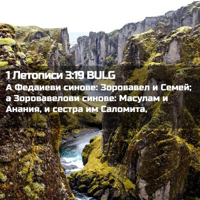 Picture 02 - 1 Летописи 3:19 BULG - А Федаиеви синове: - Bible Verse Picture