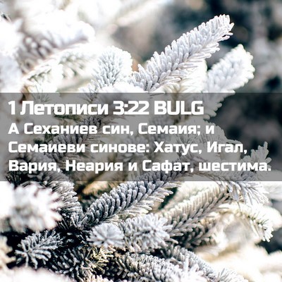Picture 02 - 1 Летописи 3:22 BULG - А Сеханиев син, Семаия; и - Bible Verse Picture