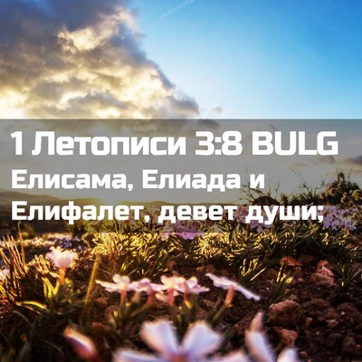 Picture 02 - 1 Летописи 3:8 BULG - Елисама, Елиада и Елифалет, - Bible Verse Picture