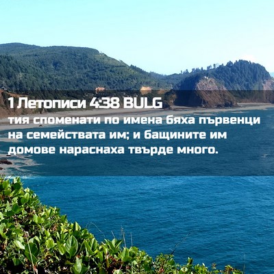Picture 02 - 1 Летописи 4:38 BULG - тия споменати по имена - Bible Verse Picture