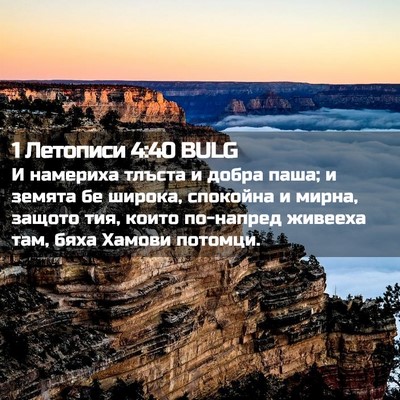 Picture 02 - 1 Летописи 4:40 BULG - И намериха тлъста и добра - Bible Verse Picture