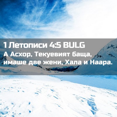 Picture 02 - 1 Летописи 4:5 BULG - А Асхор, Текуевият баща, - Bible Verse Picture