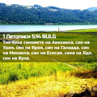 Picture 02 - 1 Летописи 5:14 BULG - Тия бяха синовете на - Bible Verse Picture