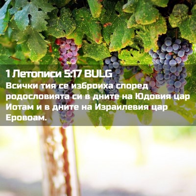 Picture 02 - 1 Летописи 5:17 BULG - Всички тия се изброиха - Bible Verse Picture