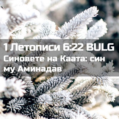Picture 02 - 1 Летописи 6:22 BULG - Синовете на Каата: син му - Bible Verse Picture