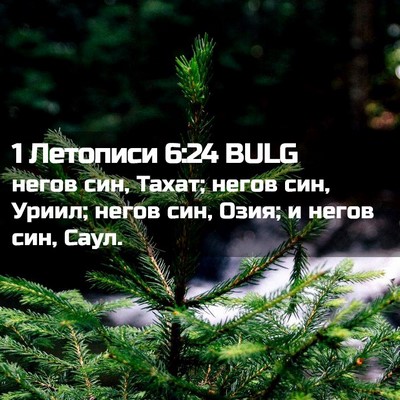 Picture 02 - 1 Летописи 6:24 BULG - негов син, Тахат; негов син, - Bible Verse Picture