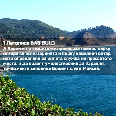 Picture 02 - 1 Летописи 6:49 BULG - А Аарон и потомците му - Bible Verse Picture
