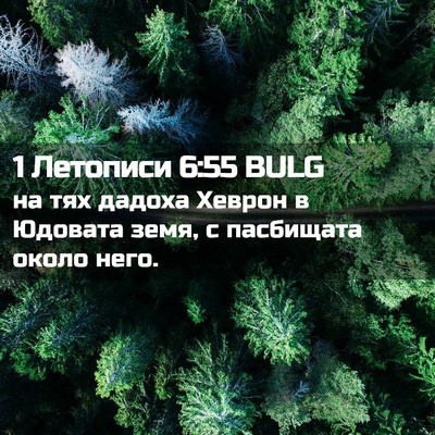 Picture 02 - 1 Летописи 6:55 BULG - на тях дадоха Хеврон в - Bible Verse Picture