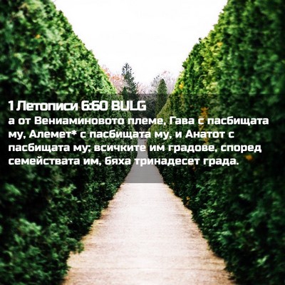 Picture 02 - 1 Летописи 6:60 BULG - а от Вениаминовото племе, - Bible Verse Picture