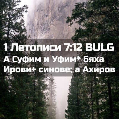 Picture 02 - 1 Летописи 7:12 BULG - А Суфим и Уфим* бяха Ирови+ - Bible Verse Picture