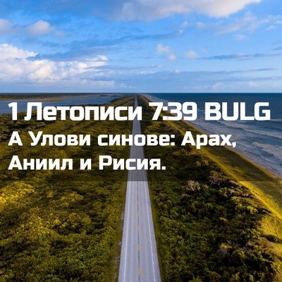 Picture 02 - 1 Летописи 7:39 BULG - А Улови синове: Арах, Аниил - Bible Verse Picture