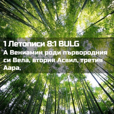 Picture 02 - 1 Летописи 8:1 BULG - А Вениамин роди - Bible Verse Picture
