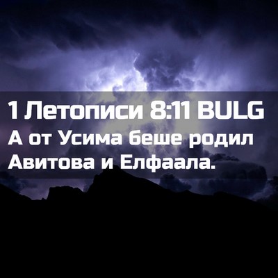 Picture 02 - 1 Летописи 8:11 BULG - А от Усима беше родил - Bible Verse Picture