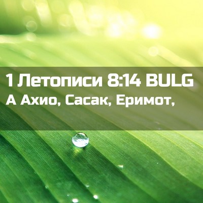 Picture 02 - 1 Летописи 8:14 BULG - А Ахио, Сасак, - Bible Verse Picture