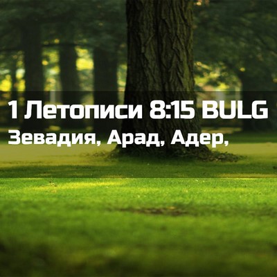 Picture 02 - 1 Летописи 8:15 BULG - Зевадия, Арад, - Bible Verse Picture