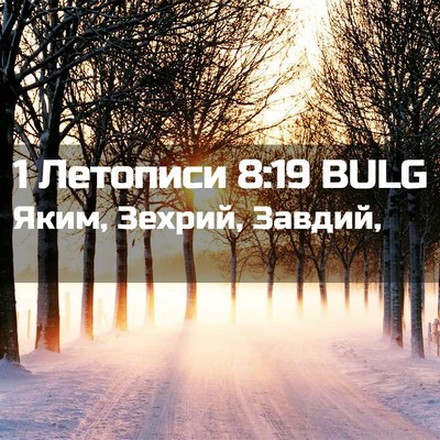 Picture 02 - 1 Летописи 8:19 BULG - Яким, Зехрий, - Bible Verse Picture