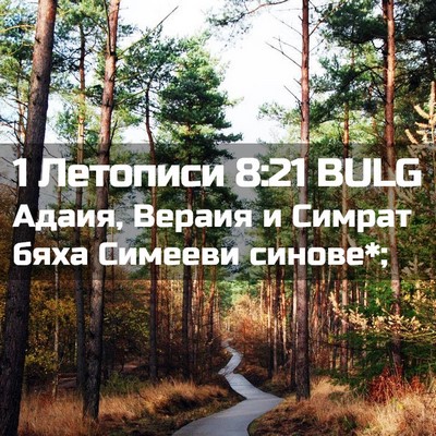 Picture 02 - 1 Летописи 8:21 BULG - Адаия, Вераия и Симрат бяха - Bible Verse Picture