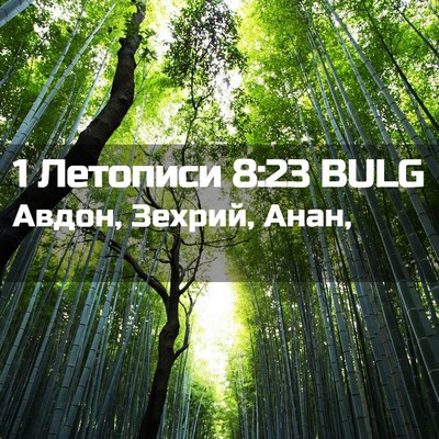 Picture 02 - 1 Летописи 8:23 BULG - Авдон, Зехрий, - Bible Verse Picture